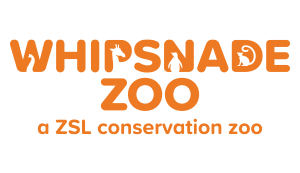 Whipsnade Wild Animal Park